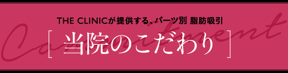 THE CLINICが提供する、パーツ別 脂肪吸引 [ 当院のこだわり ]