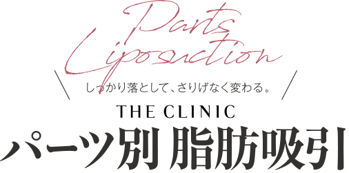 しっかり落として、さりげなく変わる。 THE CLINIC パーツ別脂肪吸引