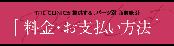 THE CLINICが提供する、パーツ別 脂吸引 [ 料金・お支払い方法 ]