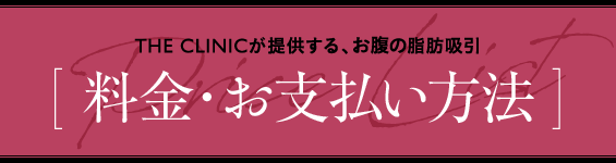 THE CLINICが提供する、お腹の脂肪吸引 [ 料金・お支払い方法 ]