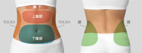 お腹の脂肪吸引の範囲