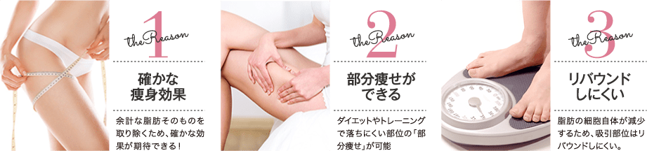the Reason 1 確かな痩身効果 / the Reason 2 部分痩せができる / the Reason 3 リバウンドしにくい 