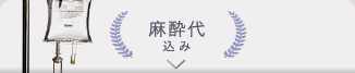 麻酔代込み