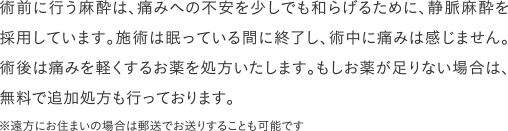 術前に行う麻酔は、痛みへの不安を少しでも和らげるために、静脈麻酔を採用しています。施術は眠っている間に終了し、術中に痛みは感じません。術後は痛みを軽くするお薬を処方いたします。もしお薬が足りない場合は、無料で追加処方も行っております。※遠方にお住まいの場合は郵送でお送りすることも可能です