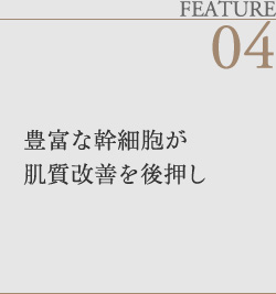豊富な幹細胞が肌質改善を後押し