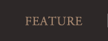 FEATURE