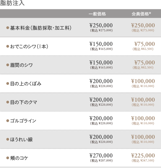 脂肪注入の料金表