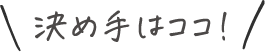 決め手はココ！