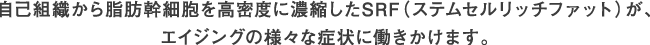 自己脂肪から抽出した、脂肪幹細胞を高密度に濃縮したSRF（ステムセルリッチファット）が、エイジングの様々な症状に働きかけます。