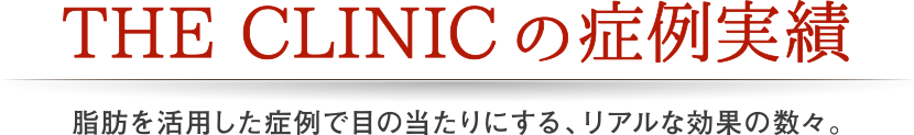 THE CLINIC の症例実績