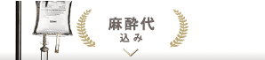 麻酔代込み