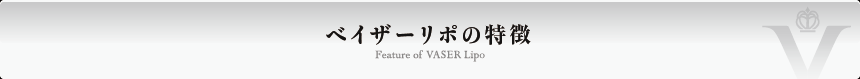 ベイザーリポの特徴