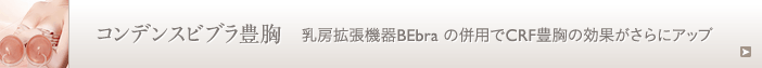コンデンスビブラ豊胸