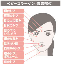 ベビーコラーゲンの施術2