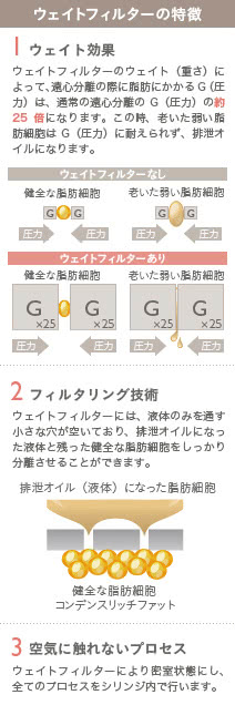コンデンスリッチボディ(脂肪注入)の施術3