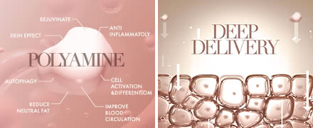 脂肪吸引ダウンタイムコスメ DTの施術4