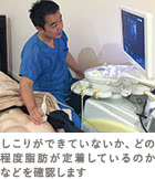 エコー検査の施術3
