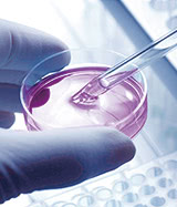 再生医療の実験風景