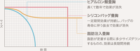 ヒアルロン酸豊胸: 長くて数年で効果が消失 / シリコンバッグ豊胸: 一定期間効果が持続し、バッグの寿命に伴う抜去で効果が消失 / 脂肪注入豊胸: 脂肪が定着する間に多少サイズダウンするものの、効果は長期間持続