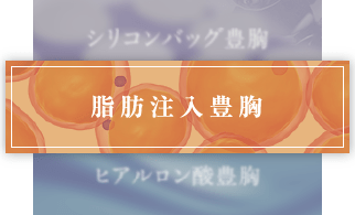脂肪注入豊胸