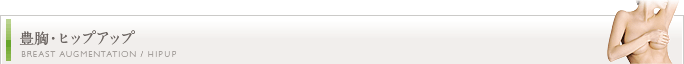 豊胸・胸の整形