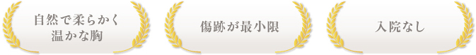 自然で柔らかく温かな胸 / 傷跡が最小限 / 入院なし