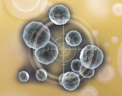 THE CLINIC(ザクリニック) の脂肪注入しこり除去とは?