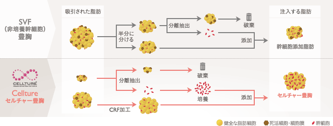 脂肪加工プロセスの違い