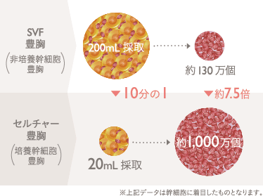 両胸の脂肪採取量と脂肪幹細胞量の比較: 自動幹細胞 抽出器(脂肪幹細胞注入法): 200mL採取 > 約130万個 | コンデンスセルチャー豊胸(培養幹細胞豊胸): 20mL採取(10分の1) > 約500万個(約４倍)