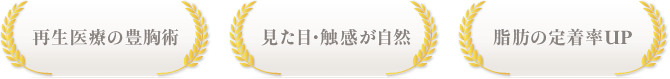 再生医療の豊胸術 / 見た目・触感が自然 / 脂肪の定着率UP