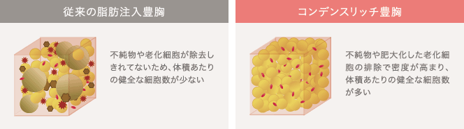 従来の脂肪注入豊胸: 不純物や老化細胞が除去しきれてないため、体積あたりの健全な細胞数が少ない / コンデンスリッチ豊胸: 不純物や肥大化した老化細胞の排除で密度が高まり、体積あたりの健全な細胞数が多い