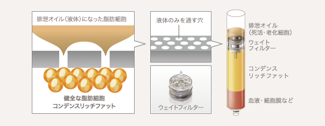 排泄オイル（液体）になった脂肪細胞 / 健全な脂肪細胞 コンデンスリッチファット / 液体のみを通す穴 / ウェイトフィルター / 排泄オイル（死活・老化細胞） / ウェイトフィルター / コンデンスリッチファット / 血液・細胞膜など