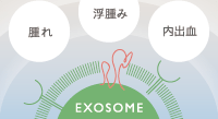 腫れ/浮腫み/内出血