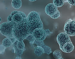 THE CLINIC(ザクリニック) のヒアルロン酸しこり除去とは?