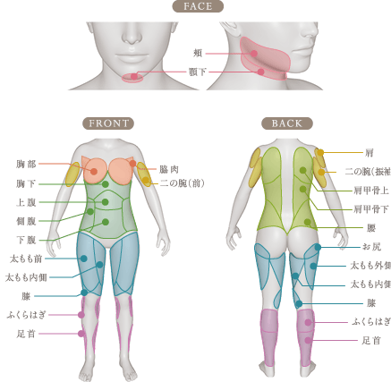 脂肪吸引の対象部位の一覧