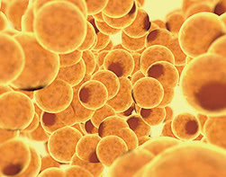 マイクロCRF注入の特徴