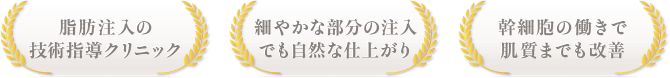 脂肪注入の 技術指導クリニック / 細やかな部分の注入 でも自然な仕上がり / 幹細胞の働きで 肌質までも改善
