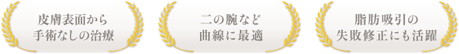 皮膚表面から手術なしの治療 / 二の腕など曲線に最適 / 脂肪吸引の失敗修正にも活躍