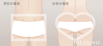 男性と女性のヒップの違い