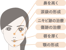 治療・プチ整形 適応部位