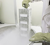 冷凍保存で繰り返しの治療ができる