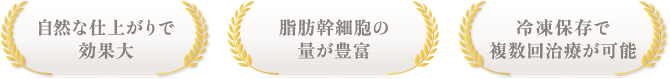 自然な仕上がりで効果大 / 脂肪幹細胞の量が豊富 / 冷凍保存で複数回治療が可能