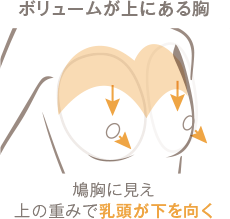 ボリュームが上にある胸