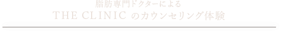 脂肪専門ドクターによるTHE CLINIC のカウンセリング体験