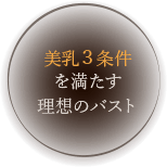 美乳３条件を満たす理想のバスト