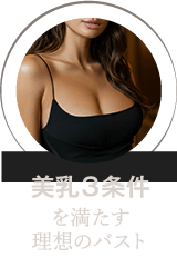 美乳３条件を満たす理想のバスト