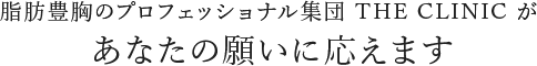 脂肪豊胸のプロフェッショナル集団THE CLINIC があなたの願いに応えます