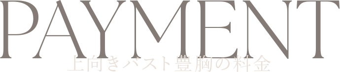 上向きバスト豊胸の料金