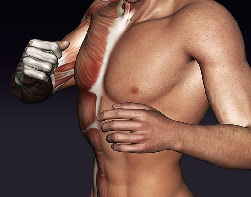 男性のために考案された脂肪吸引 / 身体の動きを加味した脂肪吸引 / ライセンスを取得した認定医だけが提供