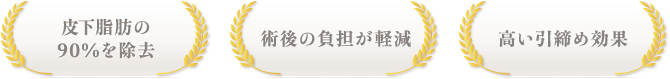 皮下脂肪の90%を除去 / 術後の負担が軽減 / 高い引締め効果